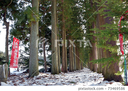 立山寺冬天的多賀樹(富山縣上市町) 立山寺冬天的多賀樹(富山縣上市町) 73469586