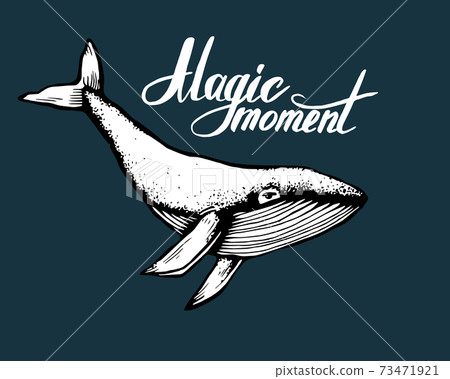 Hand-Drawn Doodle of whale with lettering Magic moment on dark backround. Vector Illustration - stock vector. Hand-Drawn Doodle of whale with lettering Magic moment on dark backround. Vector Illustration - stock vector. 73471921