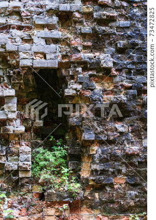 Abandoned Military Tarakaniv Fort (other names - Dubno Fort, New Dubna Fortress) - a defensive structure, an architectural monument of 19th century, Tarakaniv, Rivne region, Ukraine. 73472825