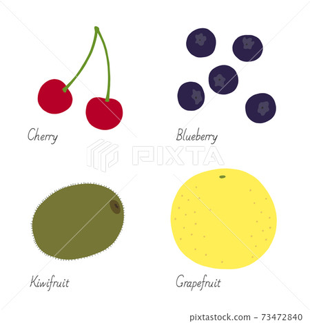 Fruit Illustrations-Cherry, Blueberry, Kiwi, Grapefruit 73472840