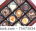 Different chocolate pralines. Box of belgian pralines of different shapes 73473034