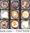Different chocolate pralines. Box of belgian pralines of different shapes 73473036