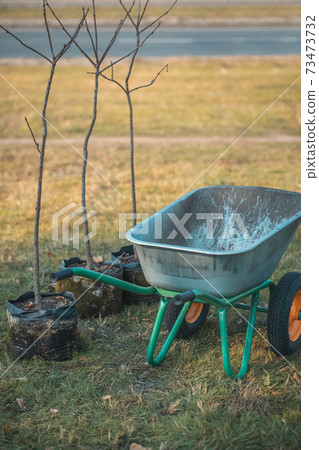 planting new trees with gardening tools in green park planting new trees with gardening tools in green park 73473732