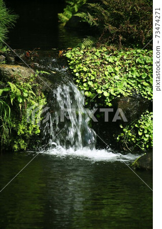 安心，日式花園中的小Ko 73474271