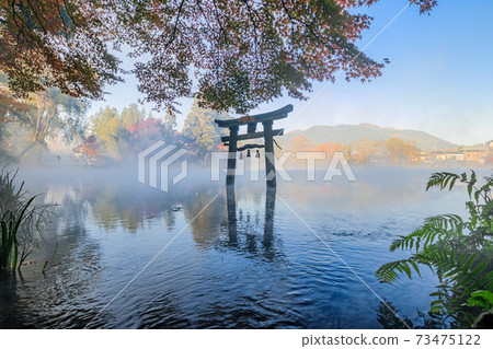 Autumn leaves and early morning Kinrin Lake Tenso Shrine Yufu City, Oita Prefecture Autumn leaves and early morning Kinrin Lake Tenso Shrine Yufu City, Oita Prefecture 73475122