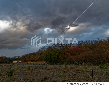 Winter dusk 73475219