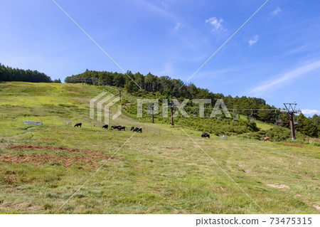 Yunomaru Kogen Kogen Ranch Yunomaru Kogen Kogen Ranch 73475315
