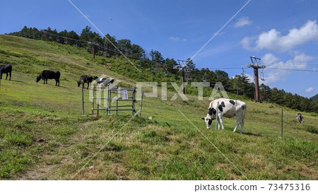 Yunomaru Highland beef 73475316