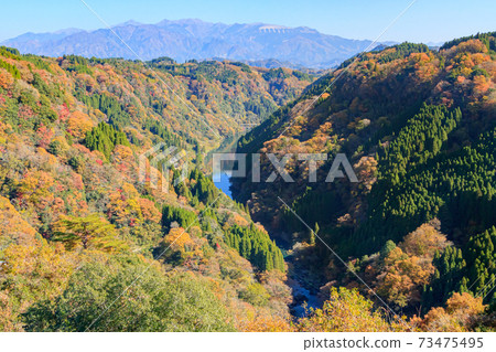 Autumn Suyokyo, Kamimashiki, Kumamoto Prefecture 73475495
