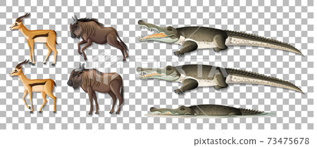 Set of isolated wild african animals on... - Stock Illustration ...