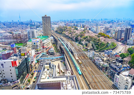 Oji Station and Asukayama Park Oji Station and Asukayama Park 73475789