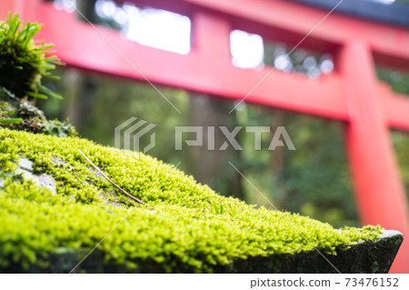 祝你好運燈籠 73476152