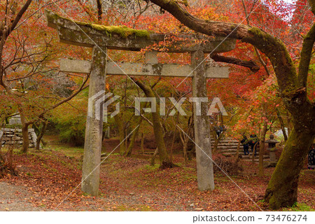 Akitsuki城堡廢墟秋葉 73476274