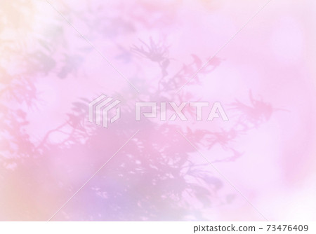 早春柔和的光線包裹著花朵和葉子的輪廓 73476409