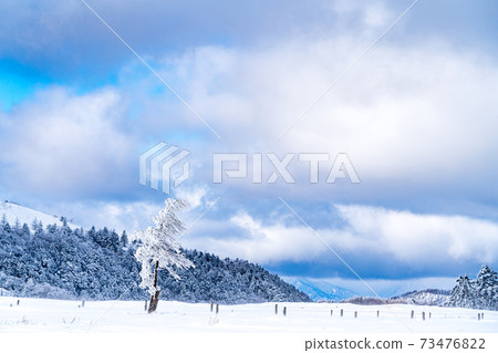 [Winter mountain image] Snow field in the midwinter 73476822