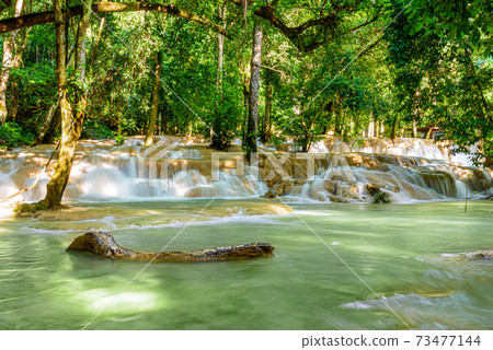 Tad Sae Waterfall in Luang Prabang, Laos 73477144