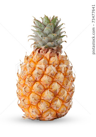 Close up single whole baby pineapple isolated on white background with clipping path 73477641