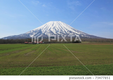 Mt. Yotei in spring 73477851