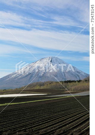 Mt. Yotei in spring 73478145