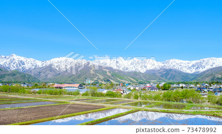 春天的白馬村（五月） 73478992