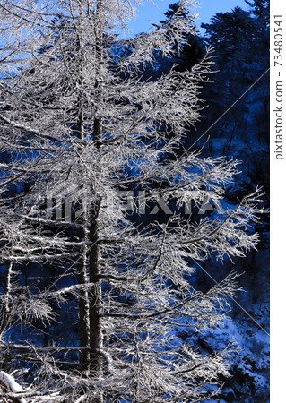 Sparkling glittering ice Sparkling glittering ice 73480541