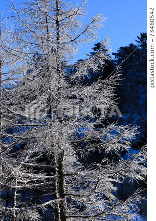 Sparkling glittering ice Sparkling glittering ice 73480542