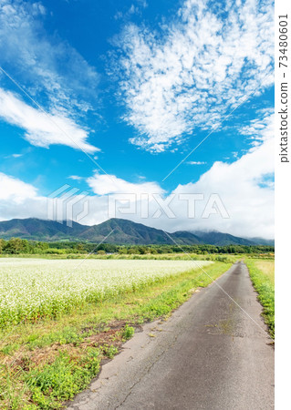 Hiruzen Highlands Autumn image 73480601