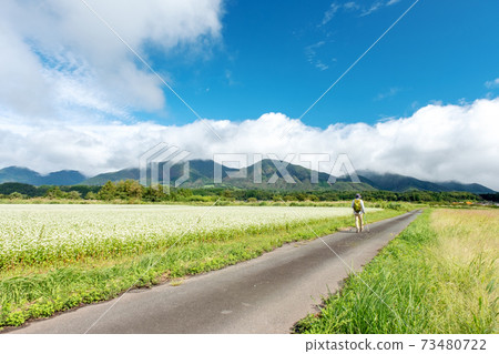 Hiruzen Highlands Autumn image Hiruzen Highlands Autumn image 73480722