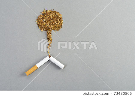 Broken tobacco cigarette, tobacco spreading on the gray table in the form of a nuclear explosion. No and quit smoking concept. World no smoking day 73480866