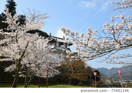 泉城和櫻花 泉城和櫻花 73481146