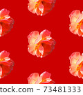 Seamless pattern with roses on a red background 73481333