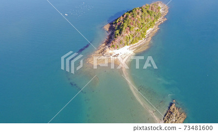 天草的禿頭島鳥瞰圖 天草的禿頭島鳥瞰圖 73481600