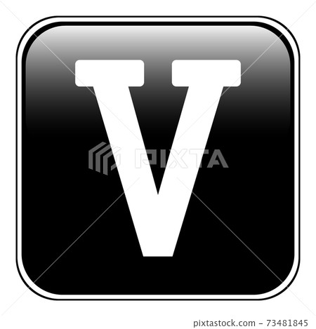 Roman numeral five. 73481845