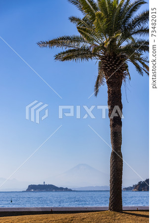 Palm trees, Enoshima and Mt. Fuji 73482015