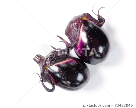 Eggplant eggplant 73482040