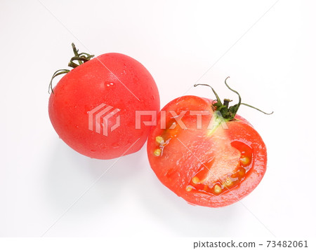 Tomato Tomato 73482061