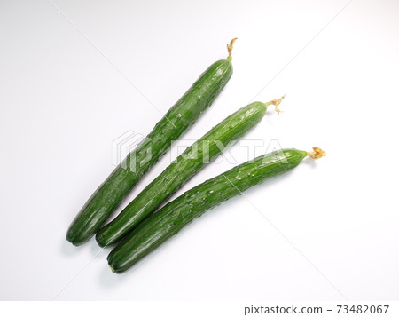 Cucumber cucumber 73482067