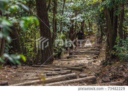 Mirokusan, Kasugai City, Aichi Prefecture 73482229