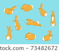 Rabbit pose 73482672
