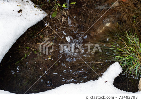 Drops on a puddle, grass and snow 73482798
