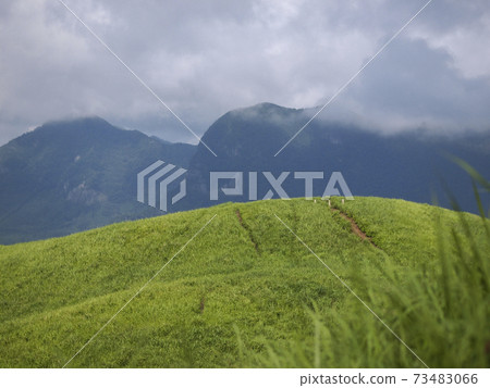Scenery of Soni plateau in summer Scenery of Soni plateau in summer 73483066