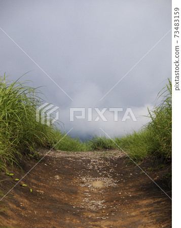 Summer Soni plateau and road where clouds spread Summer Soni plateau and road where clouds spread 73483159