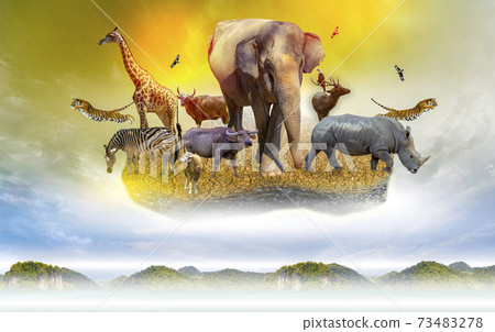 Wildlife Conservation Day Wild animals to the home. Or wildlife protection 73483278