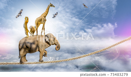 Wildlife Conservation Day Wild animals to the home. Or wildlife protection 73483279