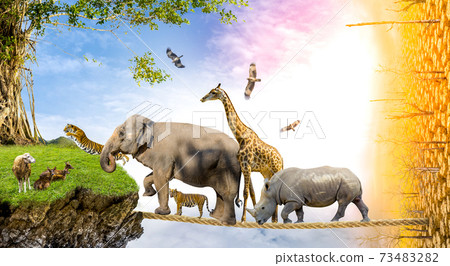 Wildlife Conservation Day Wild animals to the home. Or wildlife protection Wildlife Conservation Day Wild animals to the home. Or wildlife protection 73483282