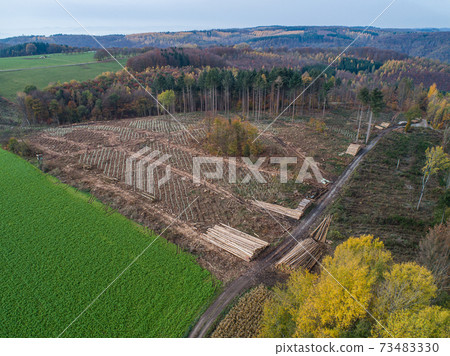 aerial view chopped Woodland new plantation Germany replanted with sapling deciduous trees protected with plastic tubes aerial view chopped Woodland new plantation Germany replanted with sapling deciduous trees protected with plastic tubes 73483330