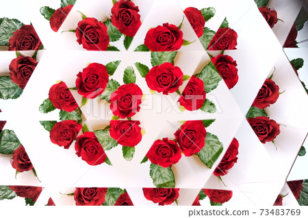 Small rose, kaleidoscope 10 Small rose, kaleidoscope 10 73483769