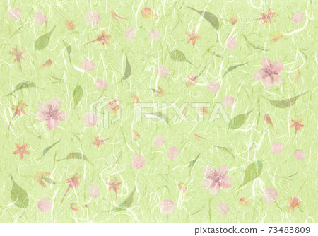 Image of spring Pressed flower, Kawazu cherry blossoms Moe yellow Japanese paper Image of spring Pressed flower, Kawazu cherry blossoms Moe yellow Japanese paper 73483809