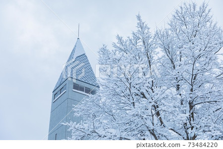 北海道美瑛町伯克森林 北海道美瑛町伯克森林 73484220