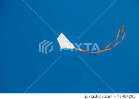 White red tailed kite flying against blue clear sky 73484293